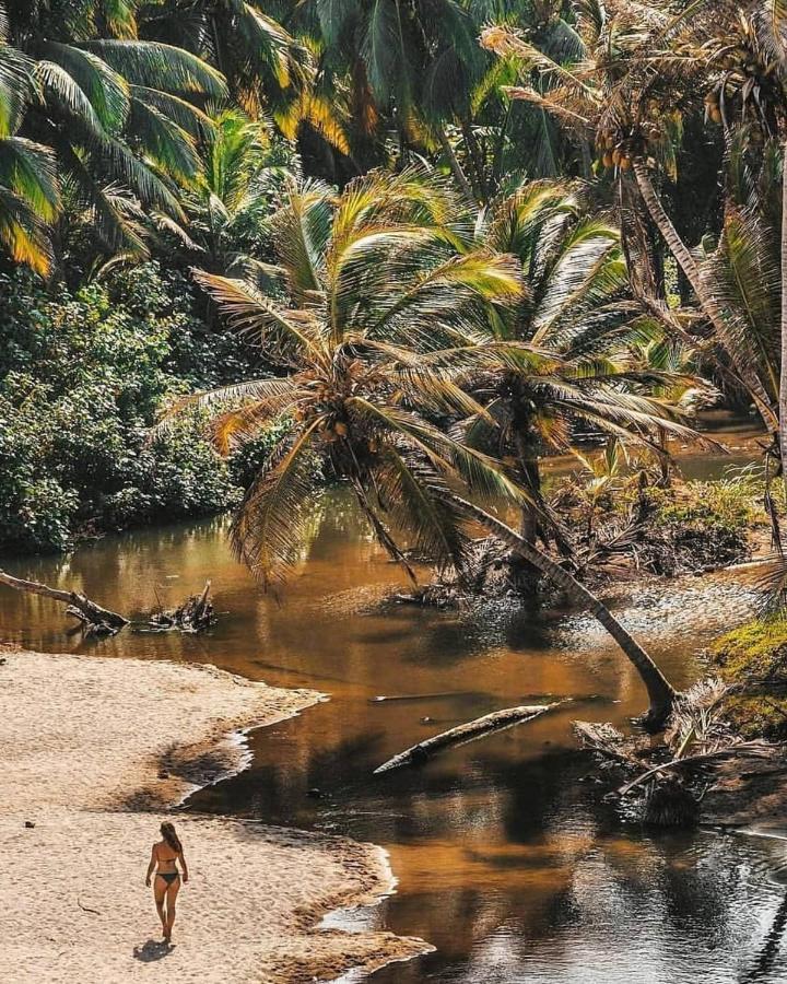 Hotel Jasayma Dentro Del Parque Tayrona El Zaino Eksteriør bilde