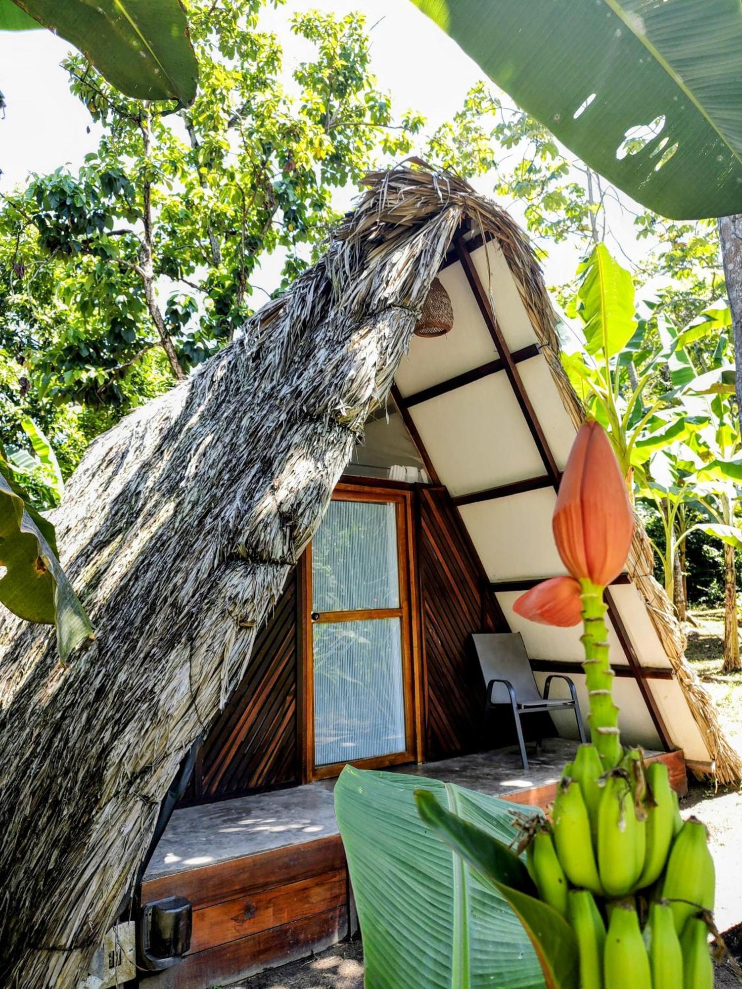 Hotel Jasayma Dentro Del Parque Tayrona El Zaino Eksteriør bilde